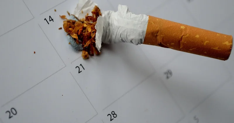 Les critères d'arrêt : décider de continuer ou d'arrêter